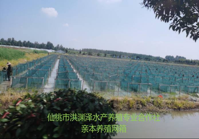 Z6尊龙·凯时(中国)-官方网站