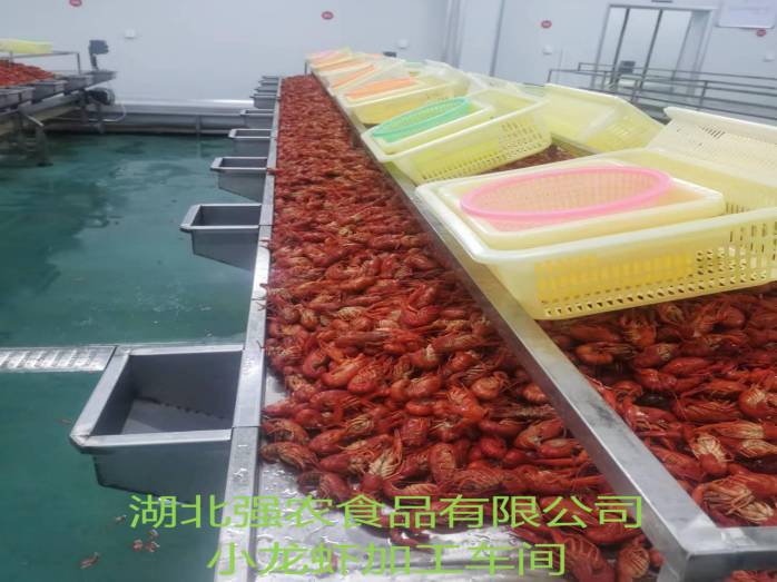 Z6尊龙·凯时(中国)-官方网站