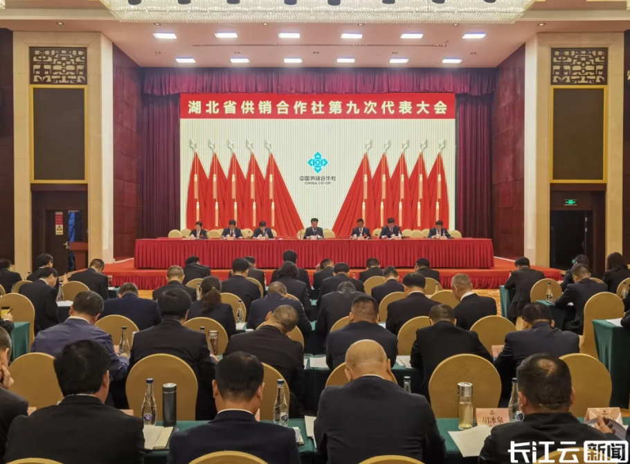 Z6尊龙·凯时(中国)-官方网站